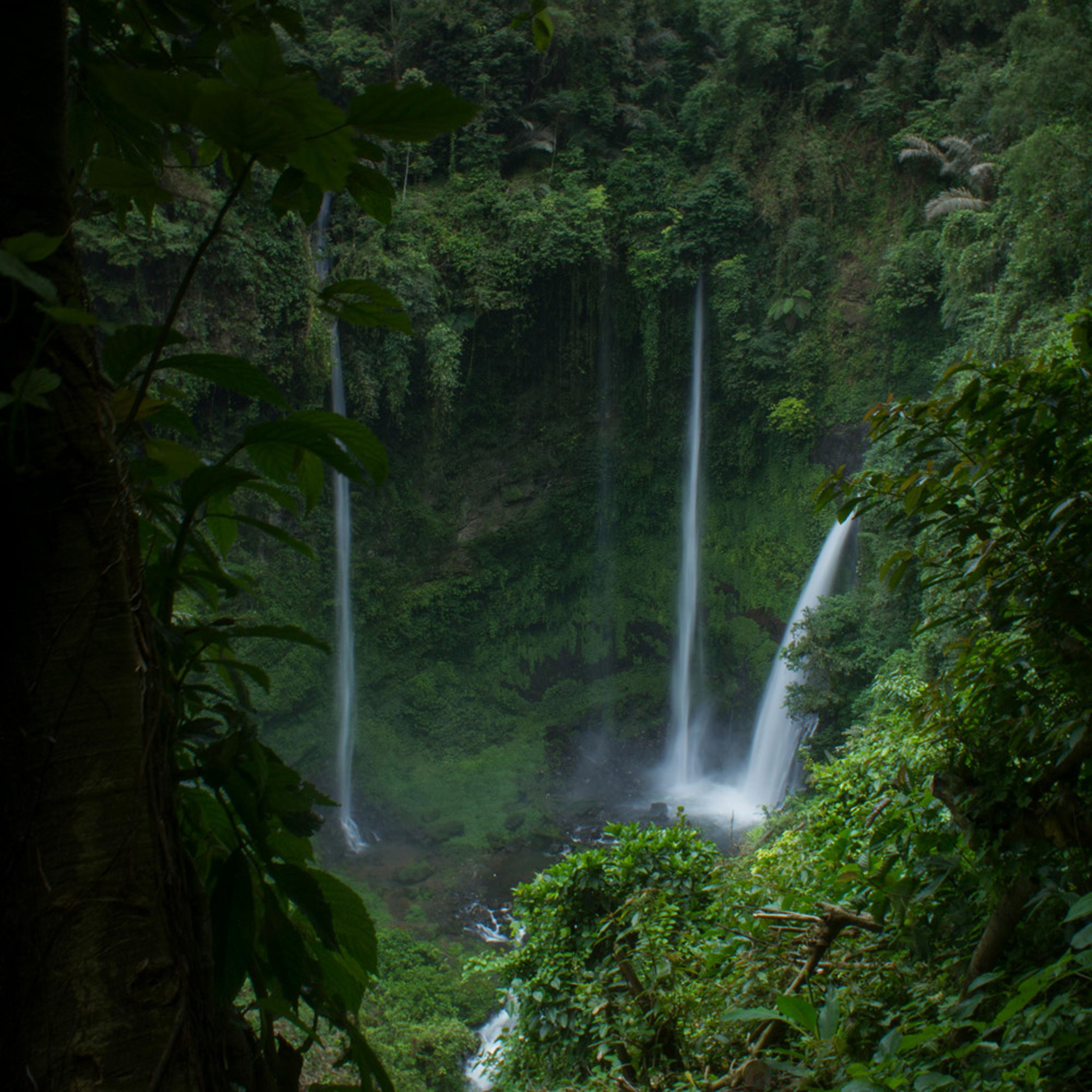 MANADO